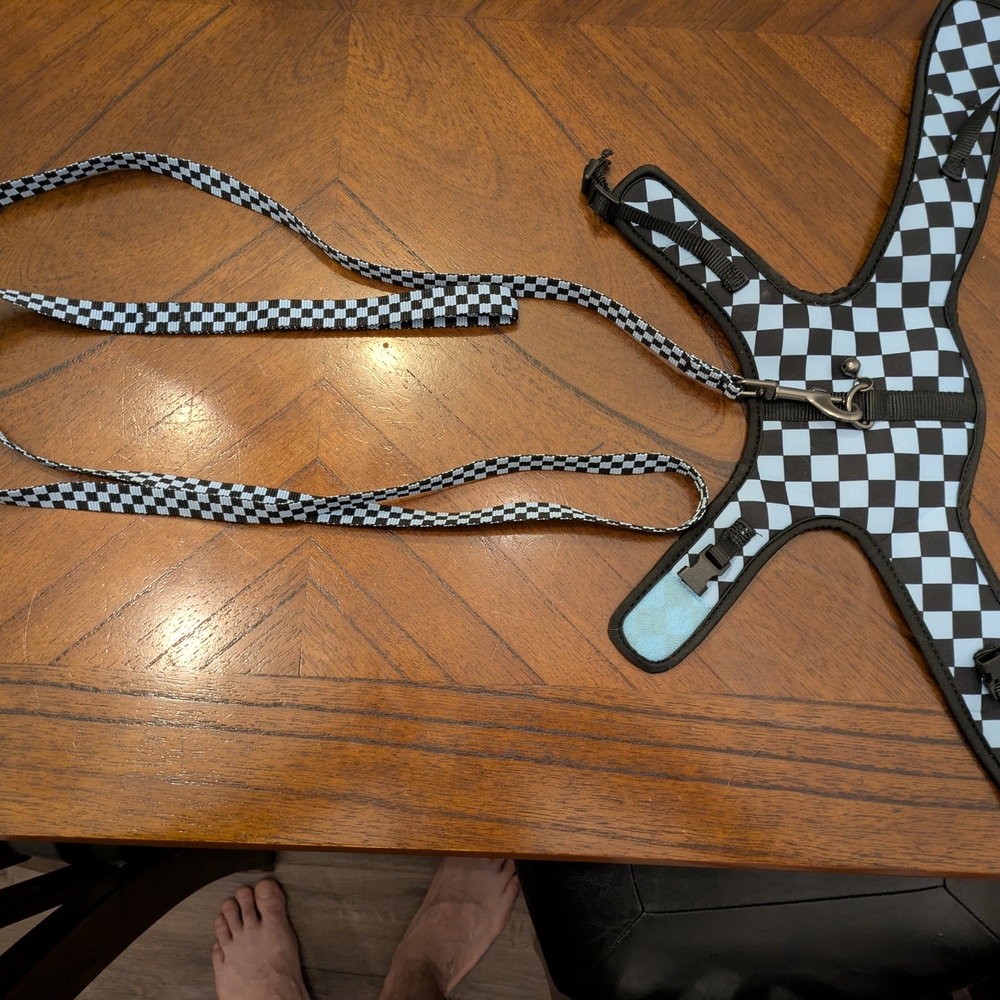 Checkered Pet Harness and Leash Set